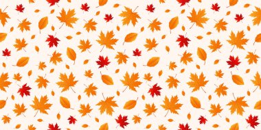 Sonbahar yapraklarının zarif, pürüzsüz deseni. Düşen yapraklar çizim yapıyor. Sonbahar deseni. Sonbahar arkaplanı.