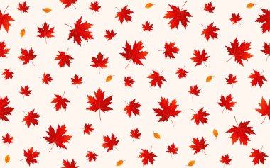 Renkli sonbahar yapraklarının kusursuz deseni. Düşen yapraklar çizim yapıyor. Sonbahar deseni.