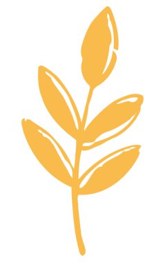 Portakal yaprağı çizimi. Estetik çiçek elementi.