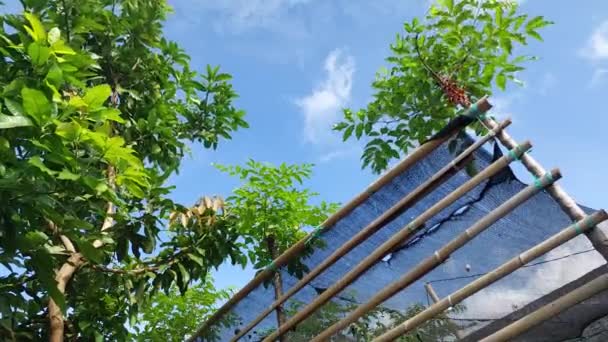 Una Frontera Tradicional Para Jardín Verde Hecho Bambú — Vídeo de stock