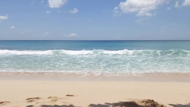 Tropikal Plaj Atmosferi Gün Boyunca Çok Güneşli — Stok video