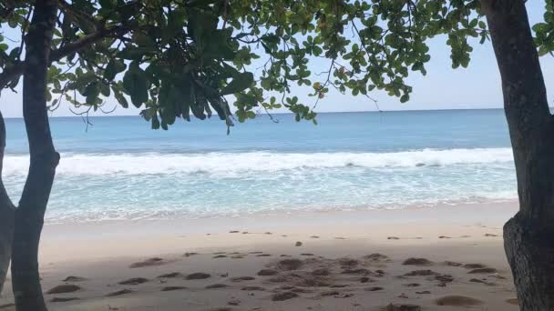 Тропическая Атмосфера Пляжа Течение Дня Солнечной Погодой — стоковое видео