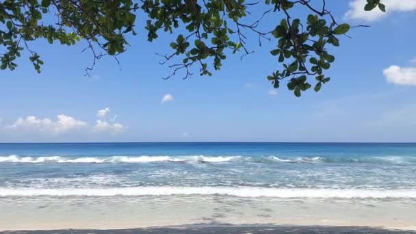 Tropische Strand Sfeer Tijdens Dag Met Zeer Zonnig Weer — Stockvideo