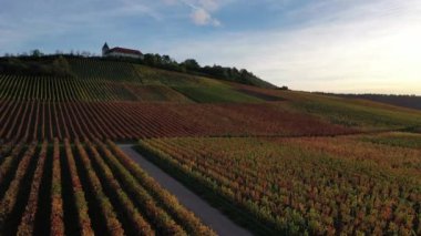 Bir güney Alman üzüm bağının, tarım alanlarının, çayırların ve ormanın güzel sonbahar renklerinde havadan görünüşü, Swabia - Baden-Wuerttemberg