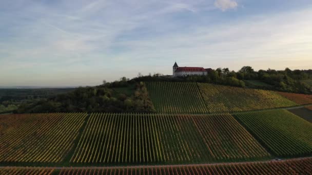 Widok Lotu Ptaka Południową Niemiecką Winnicę Obszary Rolnicze Łąki Lasy — Wideo stockowe