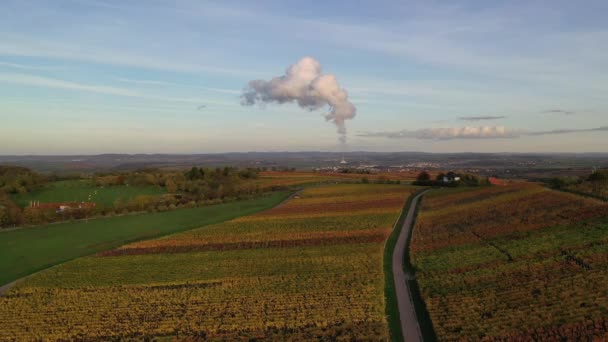 Luftaufnahme Eines Süddeutschen Weinbergs Landwirtschaftliche Flächen Wiesen Und Wälder Schönen — Stockvideo