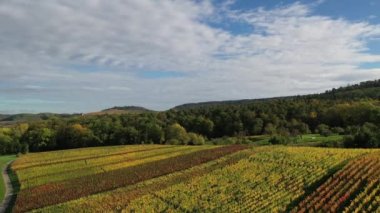 Bir güney Alman üzüm bağının, tarım alanlarının, çayırların ve ormanın güzel sonbahar renklerinde havadan görünüşü, Swabia - Baden-Wuerttemberg