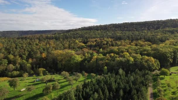Vista Aérea Viñedo Del Sur Alemania Áreas Agrícolas Prados Bosques — Vídeo de stock