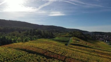 Bir güney Alman üzüm bağının, tarım alanlarının, çayırların ve ormanın güzel sonbahar renklerinde havadan görünüşü, Swabia - Baden-Wuerttemberg