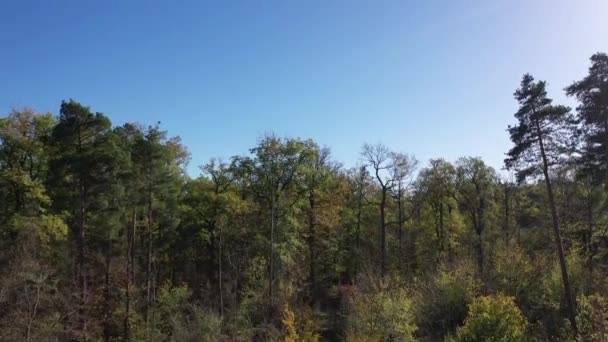 Fernsicht Auf Natürliche Waldlandschaften Landwirtschaftliche Flächen Herbst Und Wiesen Der — Stockvideo