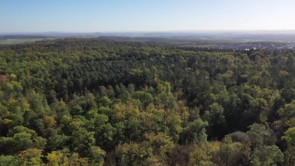 Vista Lejana Los Paisajes Forestales Naturales Áreas Agrícolas Otoño Prados — Vídeo de stock