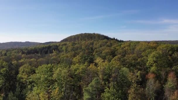 Fernsicht Auf Natürliche Waldlandschaften Landwirtschaftliche Flächen Herbst Und Wiesen Der — Stockvideo