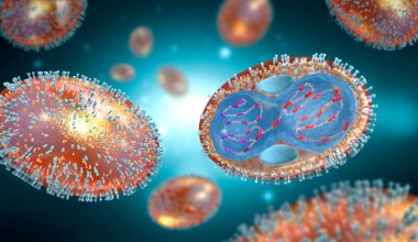 Bir çiçek hastalığının hücre zarı, nükleokapsit, hücre duvarı ve glycoprotein ile çapraz kesiti - 3d illüstrasyon