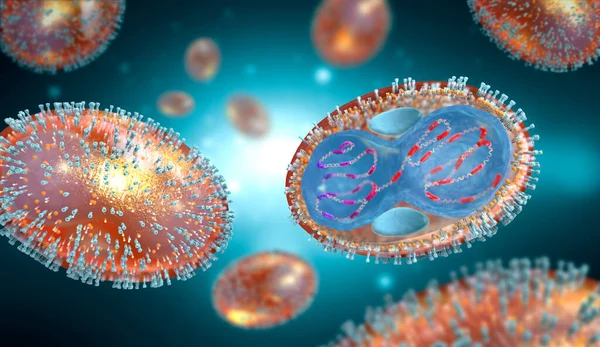 Διασταύρωση Ενός Παθογόνου Ευλογιάς Κυτταρική Μεμβράνη Νουκλεοκαψίδη Κυτταρικό Τοίχωμα Και — Φωτογραφία Αρχείου