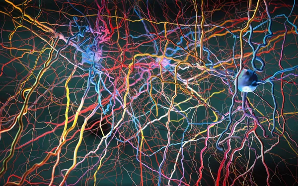 Neurony Lub Komórki Nerwowe Połączone Sieć Neuronalną Ilustracja — Zdjęcie stockowe