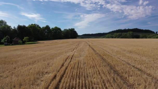 Lento Volo Campo Grano Terreni Agricoli Nella Germania Meridionale Sotto — Video Stock