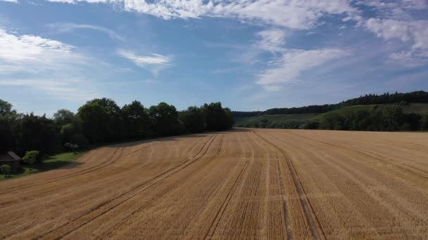 Pomalý Let Přes Pšeničné Pole Nebo Zemědělskou Půdu Jižním Německu — Stock video