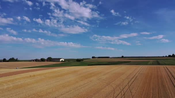 Pomalý Let Přes Pšeničné Pole Nebo Zemědělskou Půdu Jižním Německu — Stock video