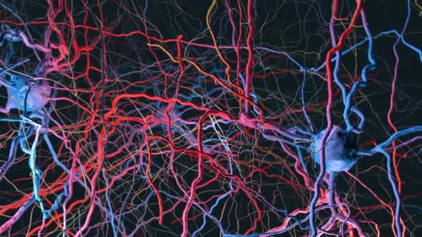 具有神经元连接和神经元的微小神经网络的缓慢飞行 3D示例 — 图库视频影像