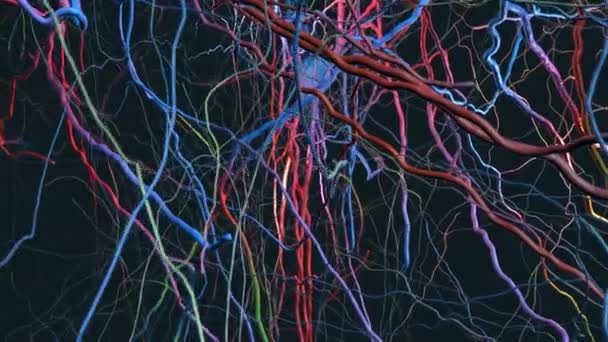 Volo Lento Attraverso Una Rete Neurale Microscopica Con Connessioni Neuronali — Video Stock