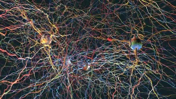 神经元连接的神经网络 传递突触 神经元或神经细胞 3D图例 — 图库视频影像
