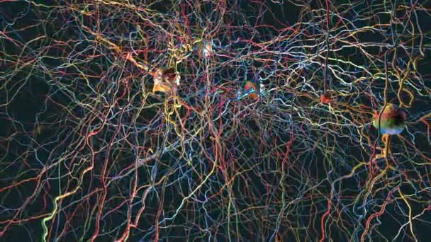 Sinapsları Nöronları Veya Sinir Hücrelerini Ileten Sinirsel Bağlantılara Sahip Bir — Stok video