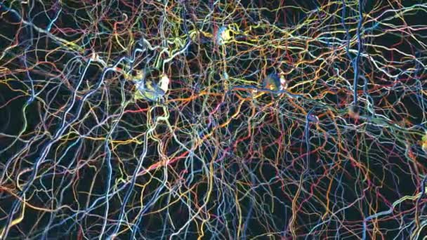 Sieć Neuronowa Połączeniami Neuronowymi Przekazującymi Synapsy Neurony Lub Komórki Nerwowe — Wideo stockowe