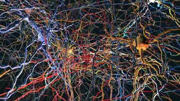 神经元连接的神经网络 传递突触 神经元或神经细胞 3D图例 — 图库视频影像