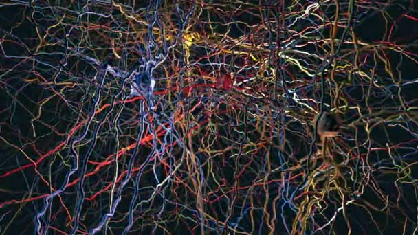 シナプス ニューロン 神経細胞を伝達するニューラルネットワーク 3Dイラスト — ストック動画