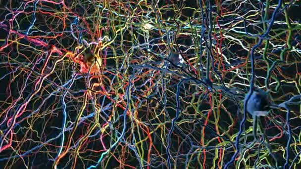 Una Red Neuronal Con Conexiones Neuronales Que Transmiten Sinapsis Neuronas — Vídeos de Stock