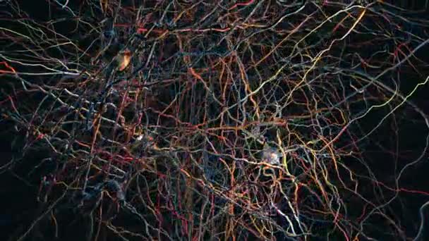 Ett Neuronnät Med Neuronala Anslutningar Som Sänder Synapser Neuroner Eller — Stockvideo