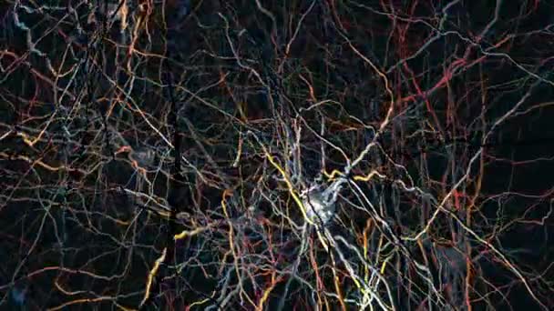 Sinapsları Nöronları Veya Sinir Hücrelerini Ileten Sinirsel Bağlantılara Sahip Bir — Stok video