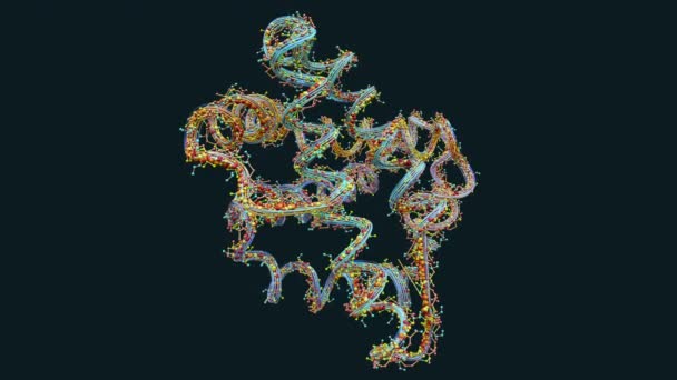 タンパク質と呼ばれるアミノ酸やバイオ分子の鎖 3Dイラスト — ストック動画