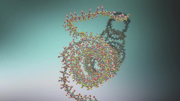 Ilustração Uma Cadeia Ácido Ribonicleico Partir Qual Ácido Desoxirribonucleico Dna — Vídeo de Stock