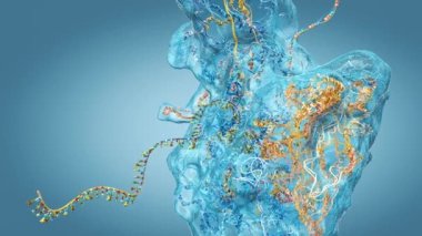 Ribosome, kurye rna molekülünü oluşturan biyolojik bir hücrenin parçası - 3D çizim