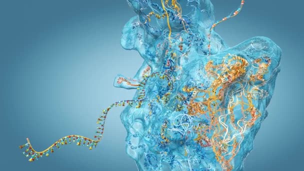 核糖体作为构建信使Rna分子的生物细胞的一部分 3D示例 — 图库视频影像