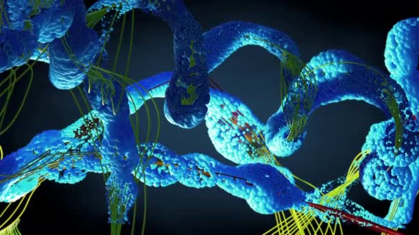 Łańcuch Aminokwasów Lub Biokwasów Zwanych Białkami Ilustracja — Wideo stockowe