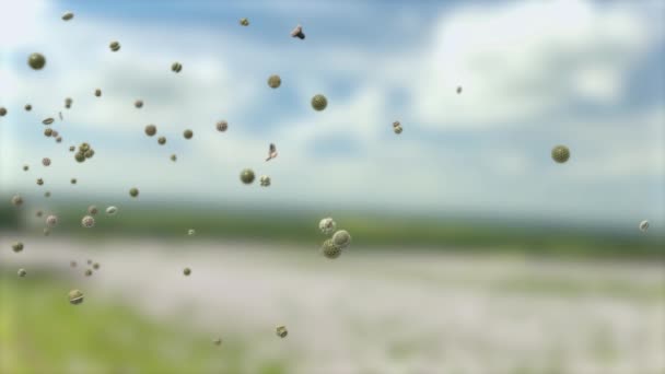 Pollen Korn Som Kan Utlösa Allergier Transporteras Genom Luften Äng — Stockvideo