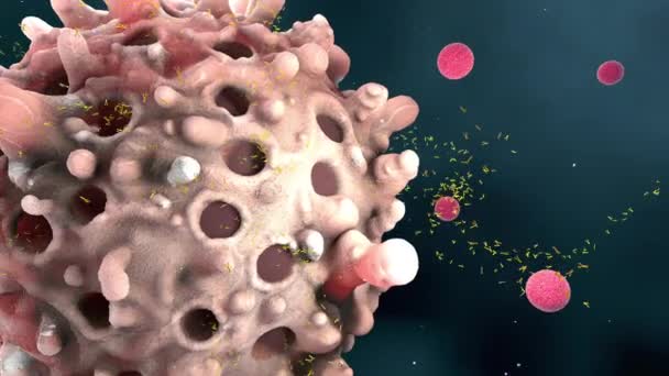 白血球または免疫細胞は免疫応答の血漿に抗体を分泌する 3Dイラスト — ストック動画