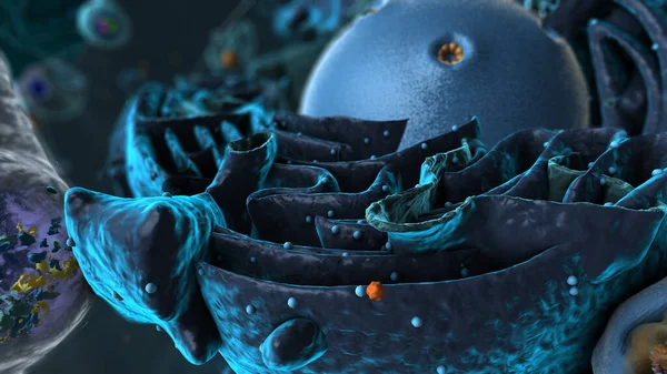 Organelles inside Eukaryote, focus on reticulum - 3d illustration