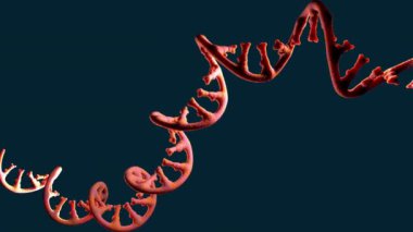 RNA 'nın tek iplikli molekülü kurye ribonükleik asit - 3d illüstrasyon