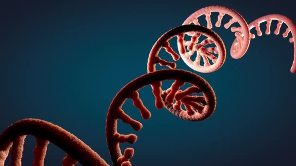 Molecola Singolo Filamento Rna Chiamato Acido Ribonucleico Messaggero Illustrazione — Video Stock