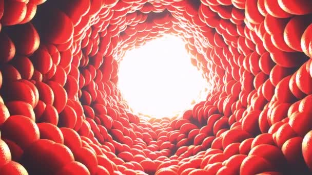 Vuelo Través Vaso Sanguíneo Ilustración — Vídeos de Stock
