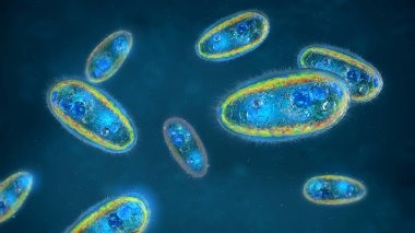 Parazit protozolara yakın tek hücreli ökaryotlar sıvı içinde akıyor - 3 boyutlu illüstrasyon