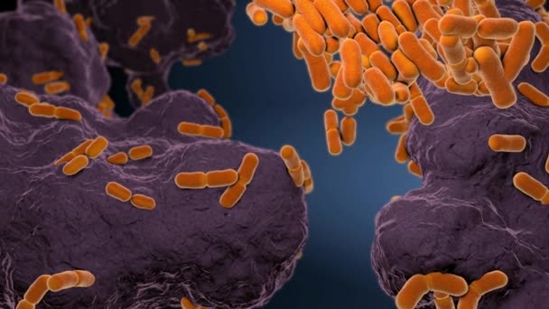 Primer Plano Bacteria Escherichia Coli Color Amarillo Sustrato Nutrientes Ilustración — Vídeo de stock