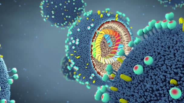 クロスセクションにインフルエンザウイルス粒子を閉じ ウイルス病原体内のDnaと酵素を示します 3Dイラスト — ストック動画