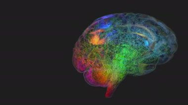 Saydam görünen ve dönen insan beyninin sinir hücrelerindeki renkli titreşimli sinyaller ve dürtüler - 3 boyutlu gösterim
