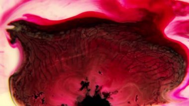 Canlı renkler kıvrılır ve sıvı kaosun içinde karışır, yavaş filizler hızlı patlamalarla birleşir, büyüleyici bir renk ve hareket dansı yaratır.