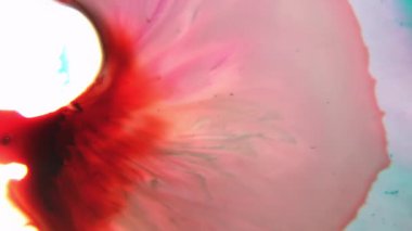 Canlı renkler kıvrılır ve sıvı kaosun içinde karışır, yavaş filizler hızlı patlamalarla birleşir, büyüleyici bir renk ve hareket dansı yaratır.