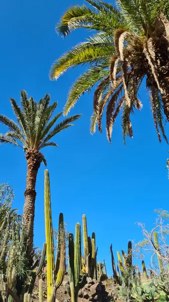 Canlı organizmaların özel özelliklerinden dolayı hayatta kalabilmeleri için çok önemli ve dinamik olan tatlı suya yakın çekim.